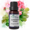 Imagegeranium