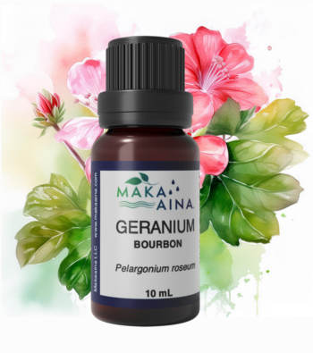 Imagegeranium